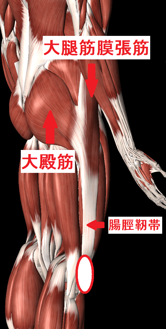 腸 脛 靭帯 ストレッチ