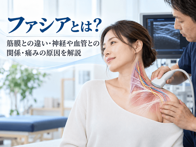 ファシアとは？筋膜との違い・神経や血管との関係・痛みの原因を解説
