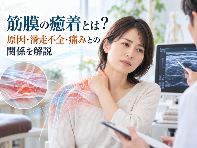 筋膜の癒着とは？原因・滑走不全・痛みとの関係を解説