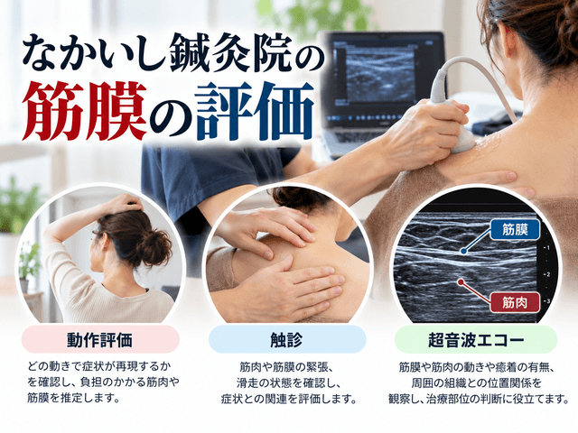 6.なかいし鍼灸院の筋膜の評価