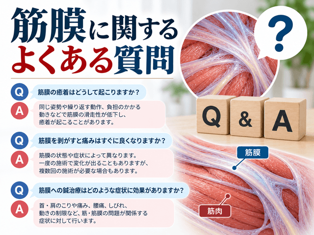 8.筋膜に関するよくある質問