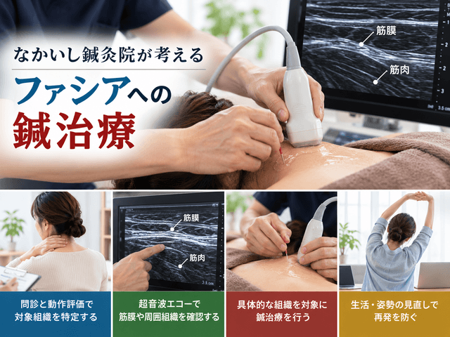 6.なかいし鍼灸院が考えるファシアへの鍼治療