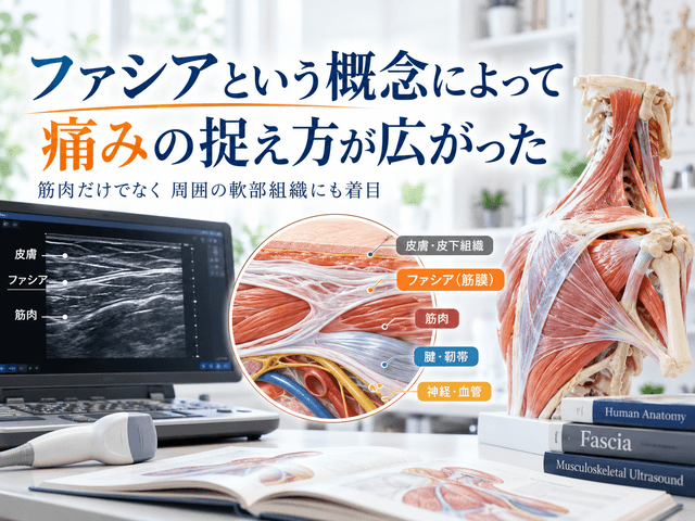 4.ファシアという概念によって痛みの捉え方が広がった